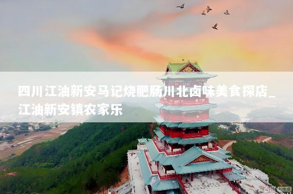 四川江油新安马记烧肥肠川北卤味美食探店_江油新安镇农家乐
