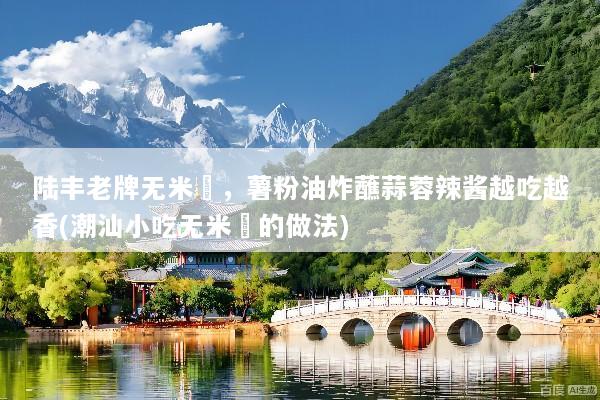 陆丰老牌无米粿，薯粉油炸蘸蒜蓉辣酱越吃越香(潮汕小吃无米粿的做法)