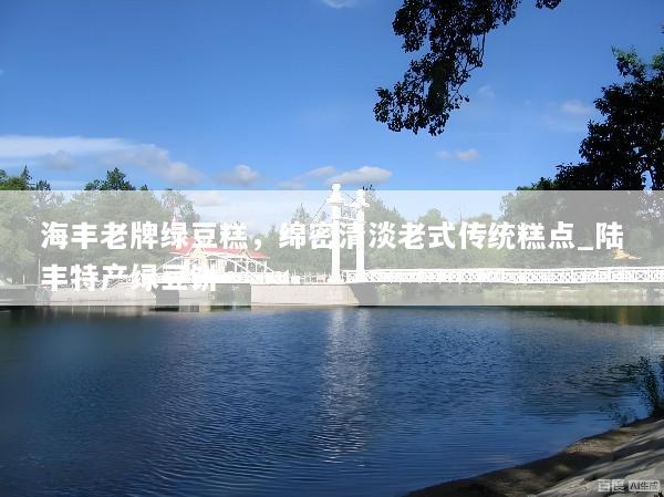 海丰老牌绿豆糕，绵密清淡老式传统糕点_陆丰特产绿豆饼