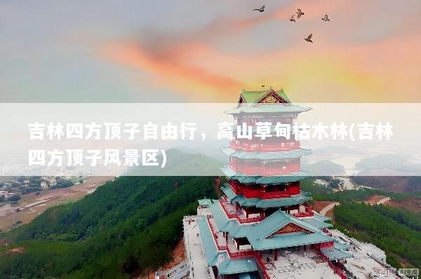 吉林四方顶子自由行，高山草甸枯木林(吉林四方顶子风景区)