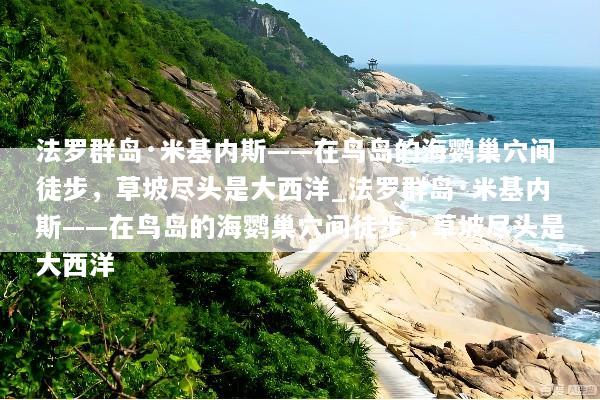 法罗群岛·米基内斯——在鸟岛的海鹦巢穴间徒步，草坡尽头是大西洋_法罗群岛·米基内斯——在鸟岛的海鹦巢穴间徒步，草坡尽头是大西洋