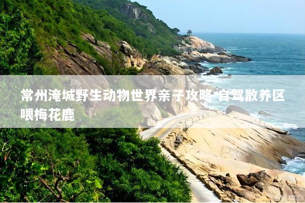 常州淹城野生动物世界亲子攻略 自驾散养区喂梅花鹿