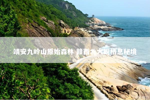 靖安九岭山原始森林 赣西北大鲵栖息秘境
