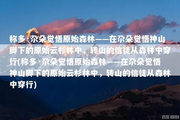 称多·尕朵觉悟原始森林——在尕朵觉悟神山脚下的原始云杉林中，转山的信徒从森林中穿行(称多·尕朵觉悟原始森林——在尕朵觉悟神山脚下的原始云杉林中，转山的信徒从森林中穿行)