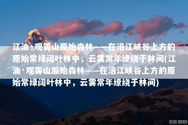 江油·观雾山原始森林——在涪江峡谷上方的原始常绿阔叶林中，云雾常年缭绕于林间(江油·观雾山原始森林——在涪江峡谷上方的原始常绿阔叶林中，云雾常年缭绕于林间)