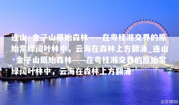 连山·金子山原始森林——在粤桂湘交界的原始常绿阔叶林中，云海在森林上方翻涌_连山·金子山原始森林——在粤桂湘交界的原始常绿阔叶林中，云海在森林上方翻涌