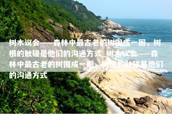 树木议会——森林中最古老的树围成一圈，树根的触碰是他们的沟通方式_树木议会——森林中最古老的树围成一圈，树根的触碰是他们的沟通方式