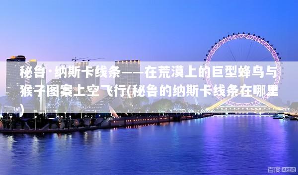 秘鲁·纳斯卡线条——在荒漠上的巨型蜂鸟与猴子图案上空飞行(秘鲁的纳斯卡线条在哪里)