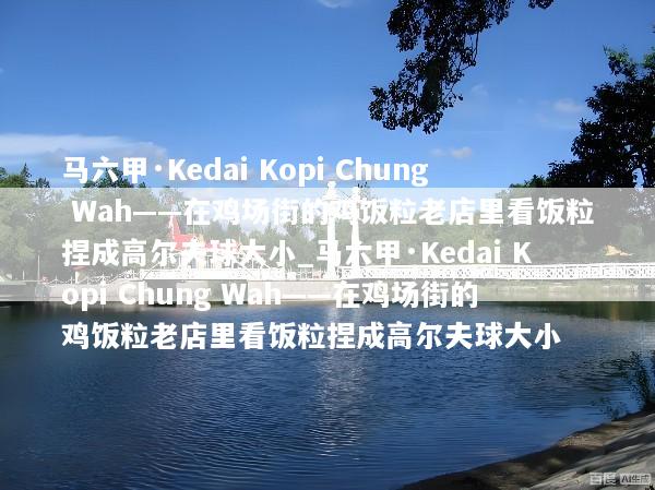 马六甲·Kedai Kopi Chung Wah——在鸡场街的鸡饭粒老店里看饭粒捏成高尔夫球大小_马六甲·Kedai Kopi Chung Wah——在鸡场街的鸡饭粒老店里看饭粒捏成高尔夫球大小