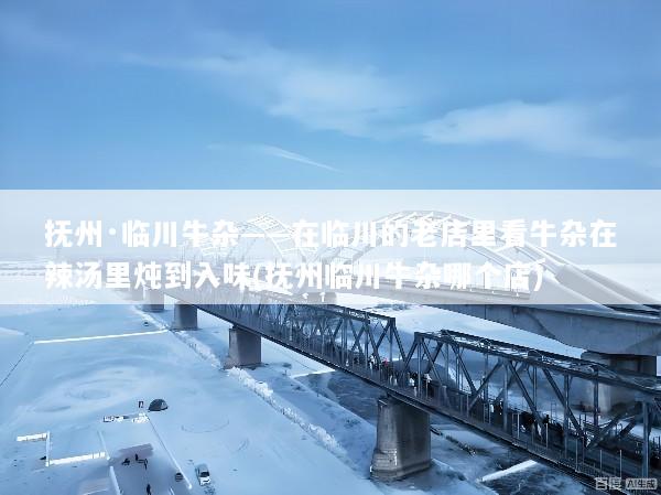 抚州·临川牛杂——在临川的老店里看牛杂在辣汤里炖到入味(抚州临川牛杂哪个店)