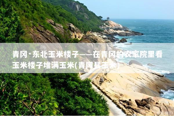 青冈·东北玉米楼子——在青冈的农家院里看玉米楼子堆满玉米(青冈县玉米)