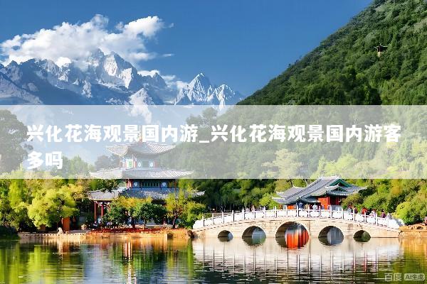 兴化花海观景国内游_兴化花海观景国内游客多吗