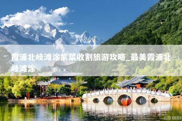 霞浦北岐滩涂紫菜收割旅游攻略_最美霞浦北岐滩涂