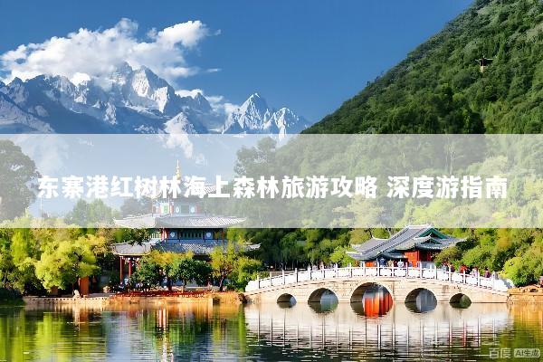 东寨港红树林海上森林旅游攻略 深度游指南